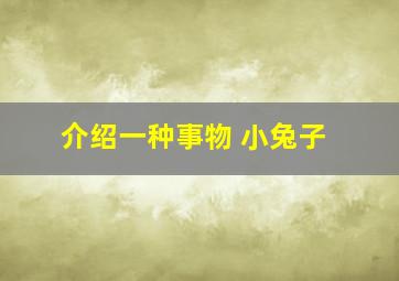 介绍一种事物 小兔子